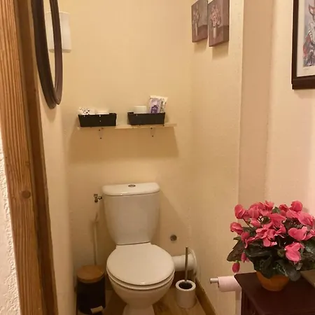 Cami Real De Qualite Possibilite Services- Centre St Lary Village -appt Esprit Chalet 6 Couchages - Piscine Hamam Et Sauna 3 Nuits Minimum Si Hors Conges Scolaires * Saint-Lary-Soulan
